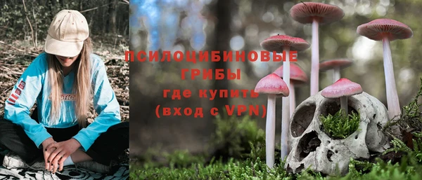 каннабис Белокуриха