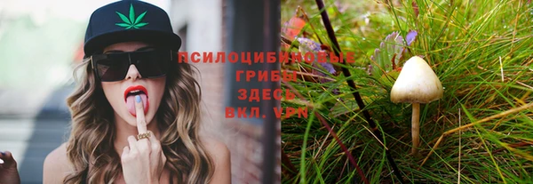 синтетический гашиш Белоозёрский